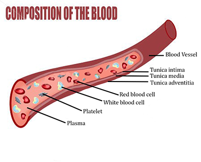 Plasma