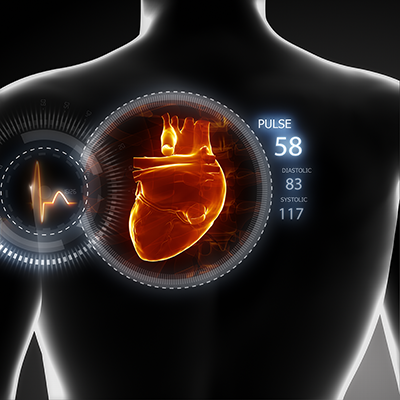 Illustration of the heart and blood pressure